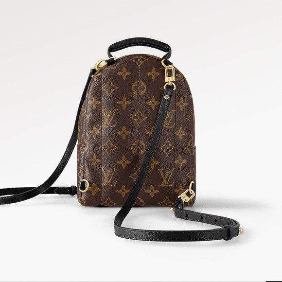 Louis Vuitton Mini Palm Springs Backpack - Picture 13 of 13